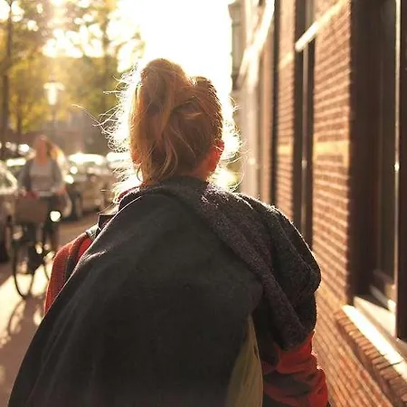 Og Antibes Les Strelitzias