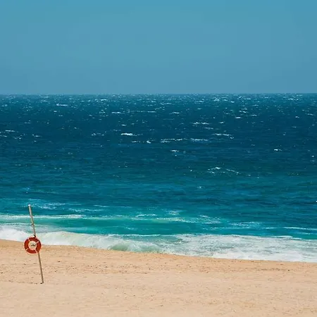 Og Antibes Les Strelitzias *