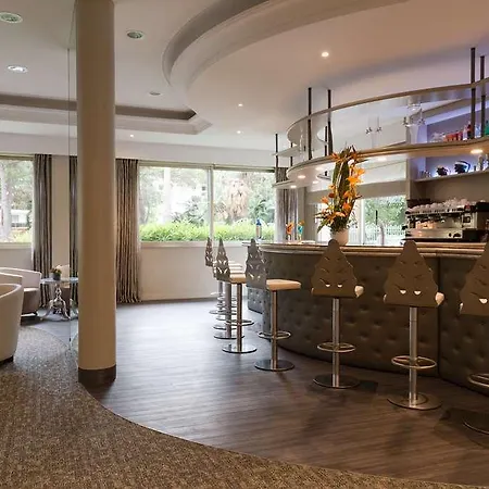 Og Antibes Les Strelitzias Juan-les-Pins