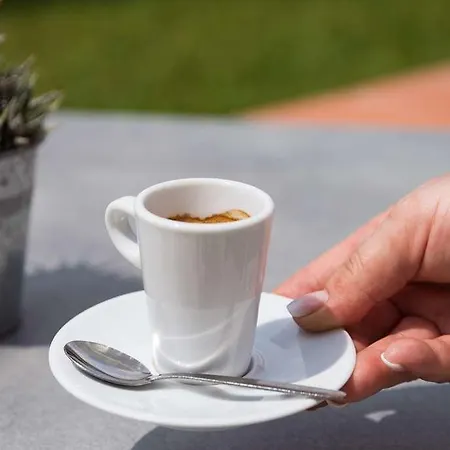 Og Antibes Les Strelitzias Hotel